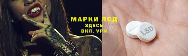 стаф Нефтегорск