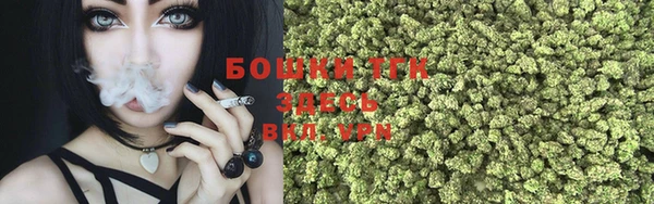 не бодяженный Надым
