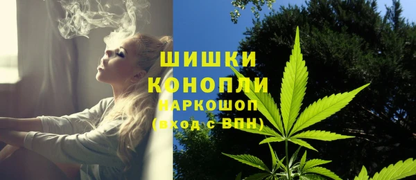 стаф Нефтегорск