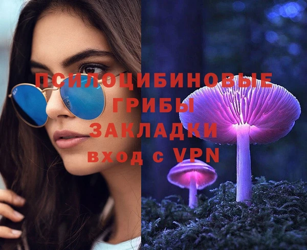 стаф Нефтегорск