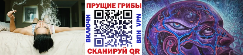 Псилоцибиновые грибы GOLDEN TEACHER  Новокубанск 