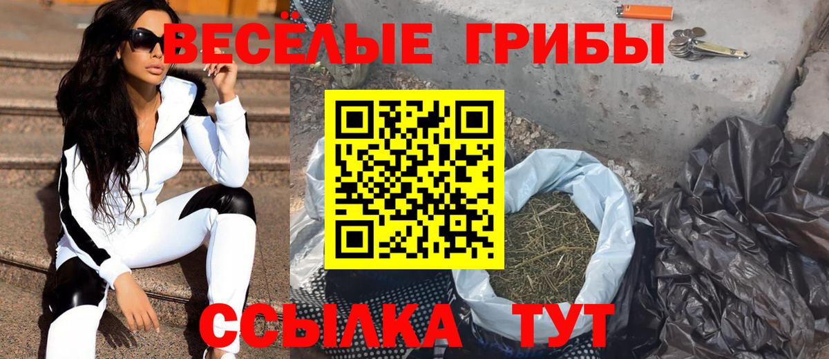 Галлюциногенные грибы GOLDEN TEACHER Новокубанск