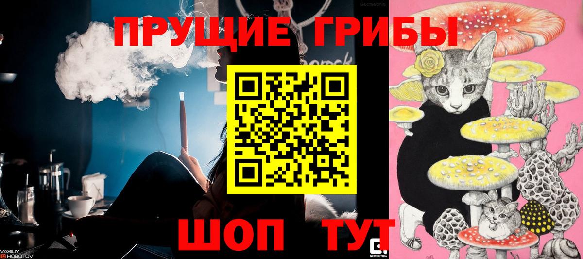 наркотики  Вход с VPN  Новокубанск  Галлюциногенные грибы Psilocybe 